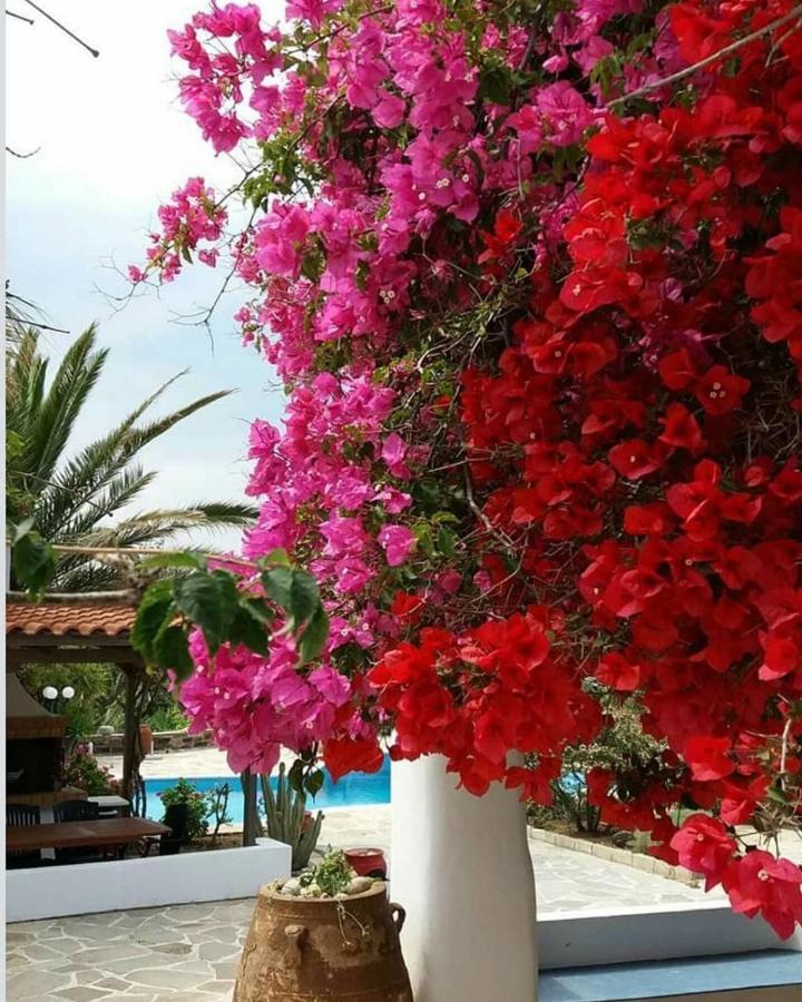 Villa Pari Manda Agios Prokopios  Exterior foto